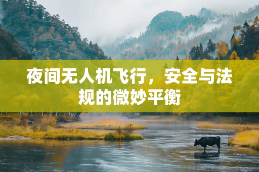 夜间无人机飞行，安全与法规的微妙平衡