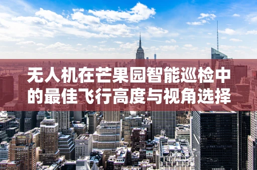 无人机在芒果园智能巡检中的最佳飞行高度与视角选择