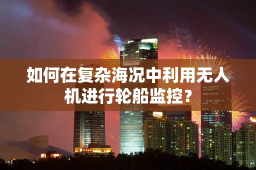 如何在复杂海况中利用无人机进行轮船监控？