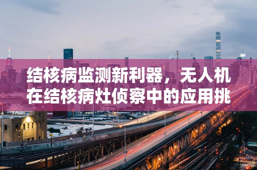 结核病监测新利器，无人机在结核病灶侦察中的应用挑战是什么？