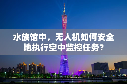 水族馆中，无人机如何安全地执行空中监控任务？