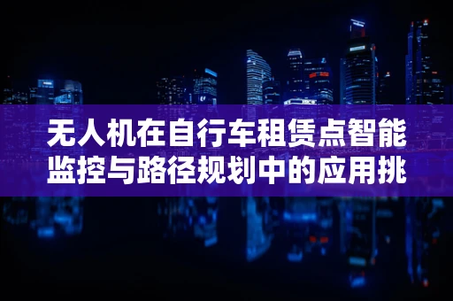 无人机在自行车租赁点智能监控与路径规划中的应用挑战