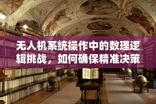 无人机系统操作中的数理逻辑挑战，如何确保精准决策？