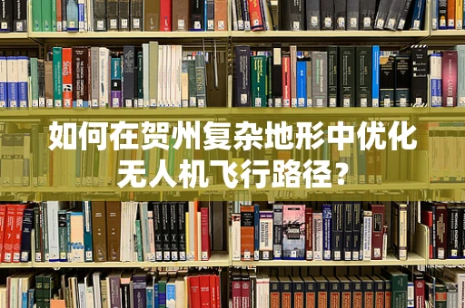 如何在贺州复杂地形中优化无人机飞行路径？