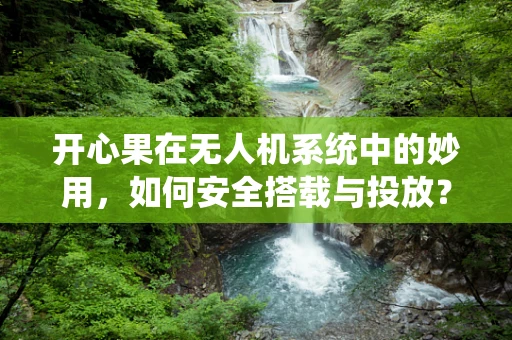 开心果在无人机系统中的妙用，如何安全搭载与投放？