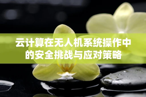 云计算在无人机系统操作中的安全挑战与应对策略