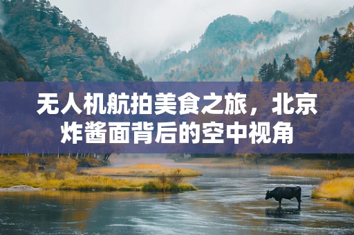 无人机航拍美食之旅，北京炸酱面背后的空中视角