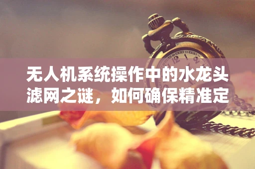 无人机系统操作中的水龙头滤网之谜，如何确保精准定位与清洁？