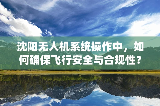 沈阳无人机系统操作中，如何确保飞行安全与合规性？