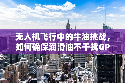 无人机飞行中的牛油挑战，如何确保润滑油不干扰GPS信号？