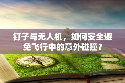 钉子与无人机，如何安全避免飞行中的意外碰撞？
