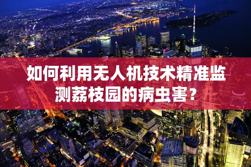 如何利用无人机技术精准监测荔枝园的病虫害？