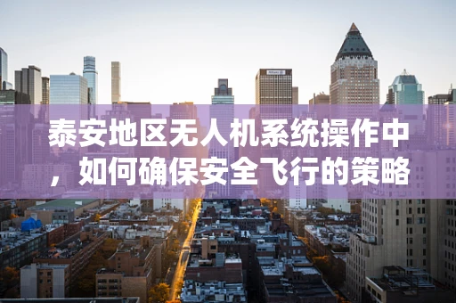 泰安地区无人机系统操作中，如何确保安全飞行的策略？