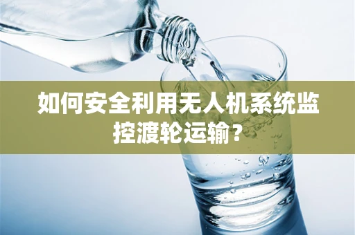 如何安全利用无人机系统监控渡轮运输？