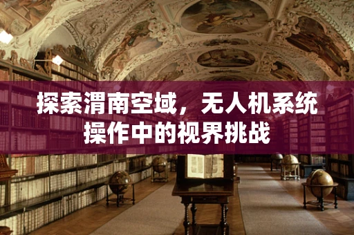 探索渭南空域，无人机系统操作中的视界挑战