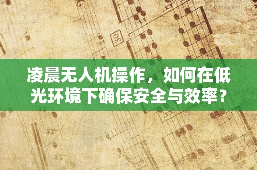 凌晨无人机操作，如何在低光环境下确保安全与效率？