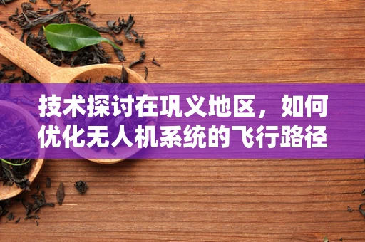 技术探讨在巩义地区，如何优化无人机系统的飞行路径以避免复杂地形干扰？