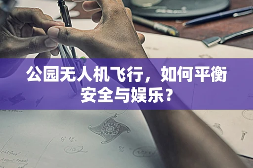 公园无人机飞行，如何平衡安全与娱乐？