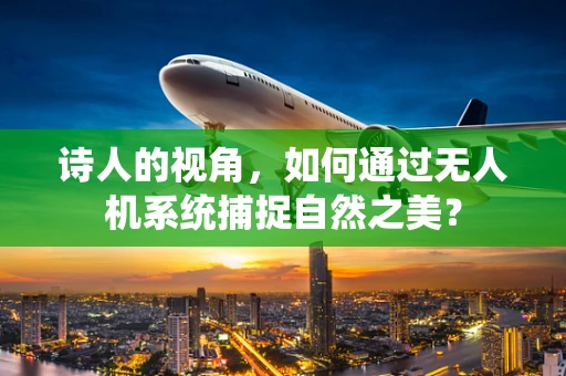 诗人的视角，如何通过无人机系统捕捉自然之美？