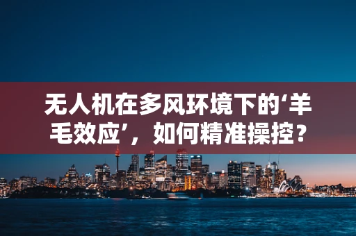 无人机在多风环境下的‘羊毛效应’，如何精准操控？
