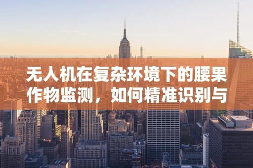 无人机在复杂环境下的腰果作物监测，如何精准识别与评估？