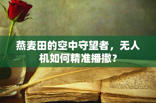 燕麦田的空中守望者，无人机如何精准播撒？