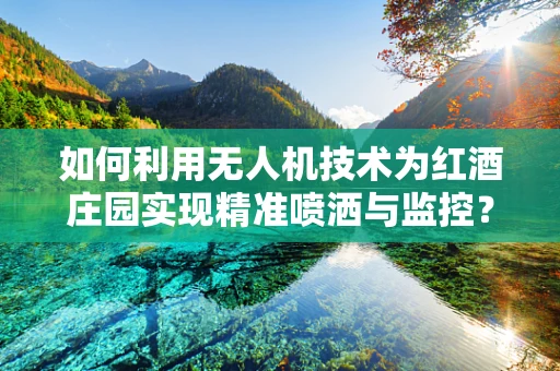 如何利用无人机技术为红酒庄园实现精准喷洒与监控？