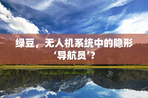 绿豆，无人机系统中的隐形‘导航员’？