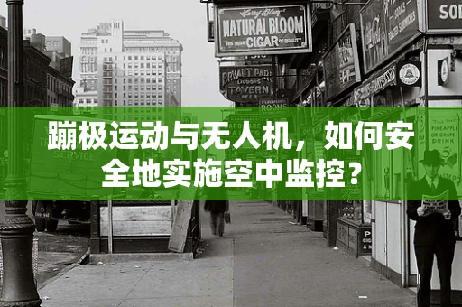 蹦极运动与无人机，如何安全地实施空中监控？