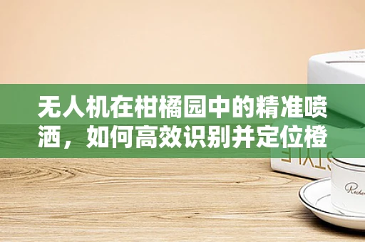 无人机在柑橘园中的精准喷洒，如何高效识别并定位橙子？