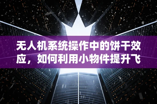 无人机系统操作中的饼干效应，如何利用小物件提升飞行稳定性？