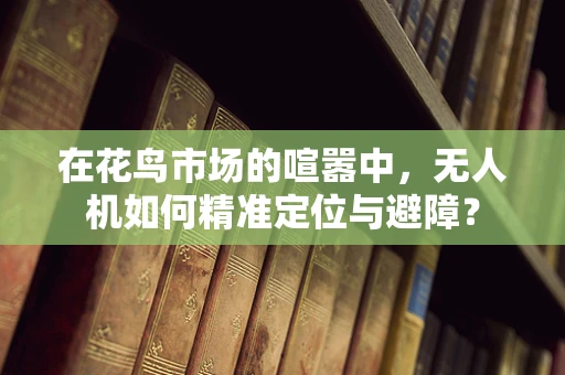 在花鸟市场的喧嚣中，无人机如何精准定位与避障？