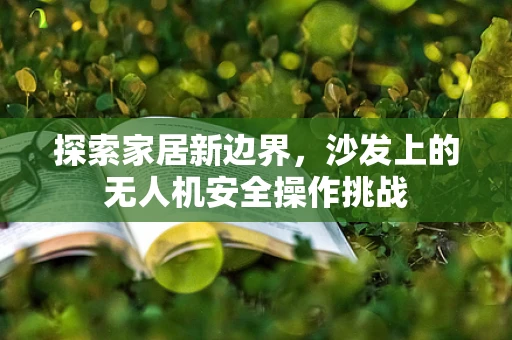 探索家居新边界，沙发上的无人机安全操作挑战