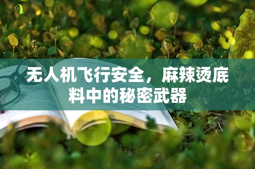 无人机飞行安全，麻辣烫底料中的秘密武器