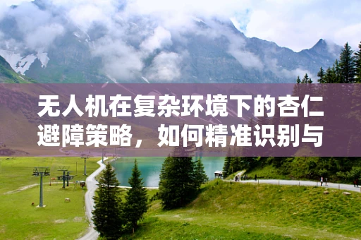 无人机在复杂环境下的杏仁避障策略，如何精准识别与规避？