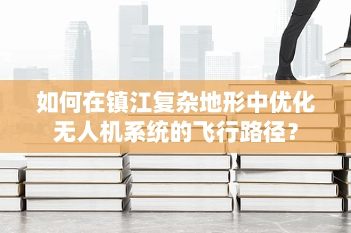 如何在镇江复杂地形中优化无人机系统的飞行路径？