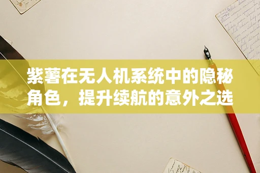 紫薯在无人机系统中的隐秘角色，提升续航的意外之选？
