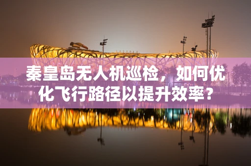 秦皇岛无人机巡检，如何优化飞行路径以提升效率？