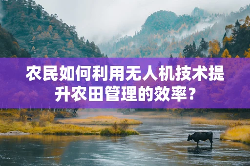 农民如何利用无人机技术提升农田管理的效率？