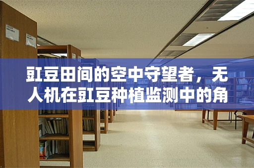 豇豆田间的空中守望者，无人机在豇豆种植监测中的角色
