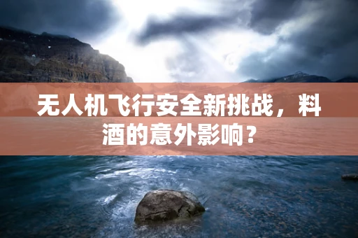 无人机飞行安全新挑战，料酒的意外影响？