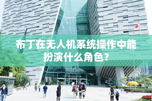 布丁在无人机系统操作中能扮演什么角色？