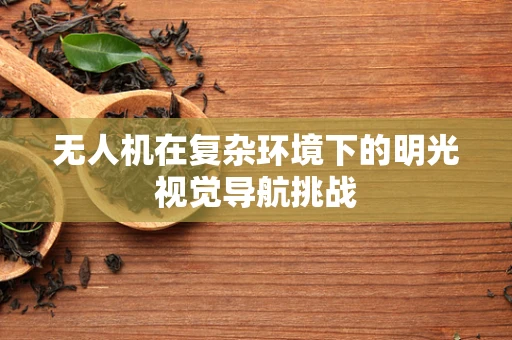 无人机在复杂环境下的明光视觉导航挑战
