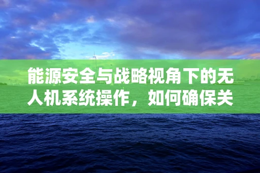能源安全与战略视角下的无人机系统操作，如何确保关键基础设施的空中守护？