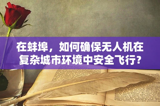在蚌埠，如何确保无人机在复杂城市环境中安全飞行？