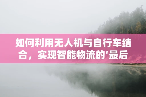 如何利用无人机与自行车结合，实现智能物流的‘最后一公里’？