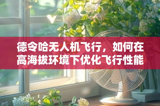 德令哈无人机飞行，如何在高海拔环境下优化飞行性能？