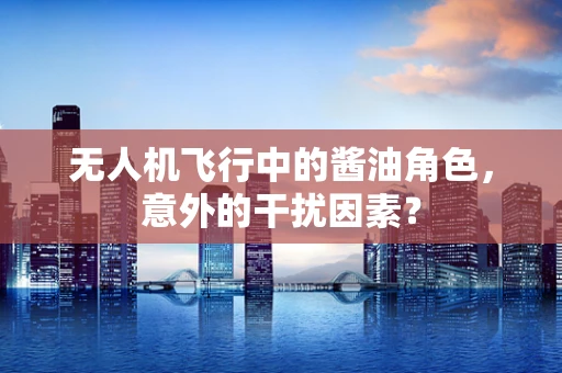 无人机飞行中的酱油角色，意外的干扰因素？