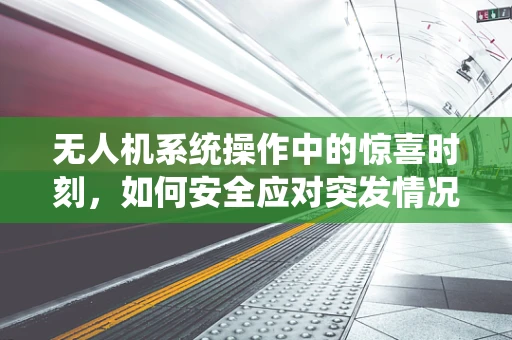 无人机系统操作中的惊喜时刻，如何安全应对突发情况？