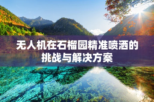 无人机在石榴园精准喷洒的挑战与解决方案